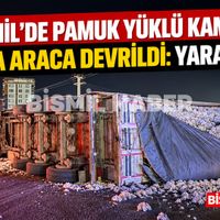 Bismil