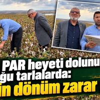 Bismil