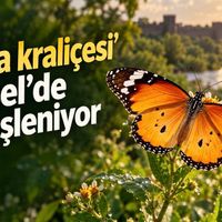 Diyarbakır