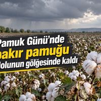 Bismil
