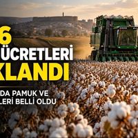Diyarbakır
