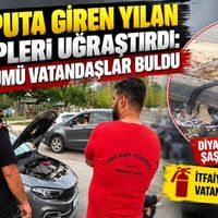 Diyarbakır