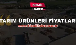 TARIM ÜRÜNLERİ FİYATLARI 28 TEMMUZ 2023