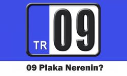 09 Hangi İlin Plakası? 09 Nerenin Plaka kodu?