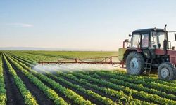 Çiftçilere Müjde: Mazot ve gübre desteğinden Kimler Faydalanabilir