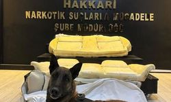 Yüksekova’da 16,7 kilo uyuşturucu yakalandı