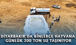 Diyarbakır'da Mera ve Yaylalara 200 Ton Su Taşınıyor