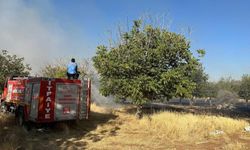 Gaziantep'te Kırsal Alanda Meydana Gelen Örtü Yangını Vatandaşlar ve İtfaiye Tarafından Kontrol Altına Alındı