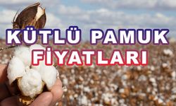 KÜTLÜ PAMUK FİYATLARI 04 AĞUSTOS 2023