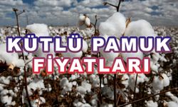 DİYARBAKIR’DA PAMUK FİYATLARI KÜTLÜ PAMUK FİYATLARI