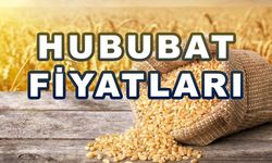 HUBUBAT FİYATLARI 02 AĞUSTOS 2023