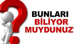 BİSMİL’DE BUNLARI BİLİYORMUYDUNUZ?