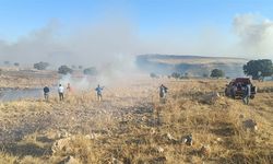 Mardin’de orman yangını paniğe neden oldu