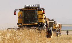 Tarım ÜFE Temmuz ayında yüzde rekor seviyeye ulaştı