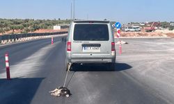 Hayvan Vahşeti: Köpeği Araca Bağlayıp Ölene Kadar Sürüklendi