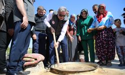 Diyarbakır'da bağ bozumu mevsimi başladı