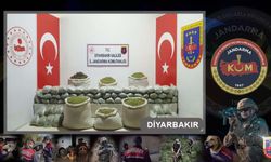 Diyarbakır'da dev uyuşturucu baskını: Skunk ve kenevir yetiştiricilerine büyük darbe