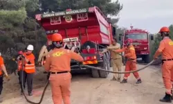 Çanakkale'de Orman Yangını