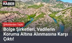 Bölge Şirketleri, Vadilerin Koruma Altına Alınmasına Karşı Çıktı!