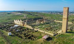 Şanlıurfa'da devam eden kazılarda 101 ayak ve sütun bulundu