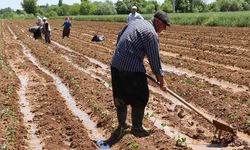 Tarımsal Girdi Fiyat Endeksi Yükseldi