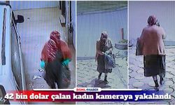 Kadın hırsız, ameliyat parası olan 42 bin doları böyle çaldı