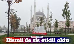 Bismil’de sabah saatlerinde sis sürprizi