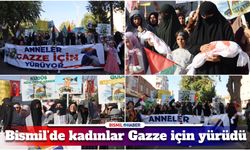 Bismil’de anneler ve çocuklar Gazze için yürüdü