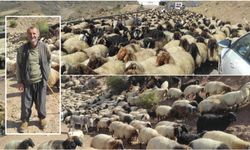 Yayla Dönemini Kapatıp Göçe Başlayan Çobanlar, 2 Aylık Serüvene Atıldı