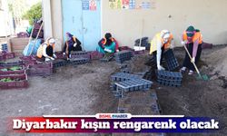 Hazırlıklar tamamlandı: Diyarbakır kışın rengarenk olacak