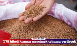 Diyarbakır’da çiftçilere kırmızı mercimek tohumu hibe edilecek