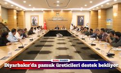 Diyarbakır'da pamuk üretimi tehlikede