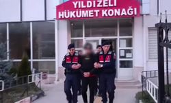 Düğünde 2 kişiyi öldüren, 1 kişiyi yaralayan şahıs tutuklandı