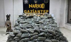 Büyük Uyuşturucu Operasyonu: 170 kilo 925 gram skunk ve 8 kilo 500 gram toz esrar ele geçirildi