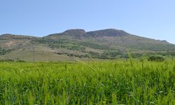 Diyarbakır'ın Görkemli Makam Dağı: Hz. Zülküf'ün İzleri