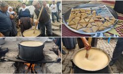 Mardin'in Yeşilli ilçesinde üzüm hasadı şenliği düzenlendi