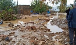 Mardin'de aşırı yağış sele neden oldu