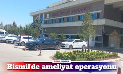 Bismil’de ameliyat operasyonu: 4 gözaltı