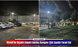 Bismil'de fabrikada çıkan kavga hastane bahçesine taşındı 