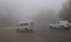 Mardin'de yoğun sis nedeniyle zorlu trafik koşulları yaşandı