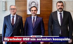 Diyarbakır Organize Sanayi Bölgesi konusu Bakan ile görüşüldü