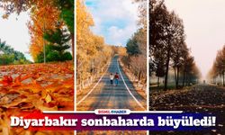 Diyarbakır’da büyüleyen sonbahar manzaraları