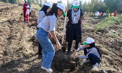 Diyarbakır'da 2 bin 23 yeni fidan dikildi