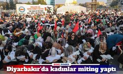 Diyarbakır'da "Filistin'de Çocuk Katliamına Karşı Analar Kıyamda" mitingi