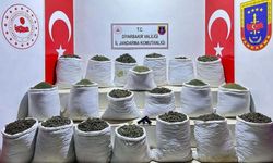 Diyarbakır'da uyuşturucu operasyonu: 2 şüpheli yakalandı, 914 kilo esrar ele geçirildi