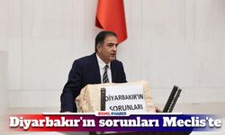 Diyarbakır’ın sorunlarını torbaya koyup meclise getirdi!