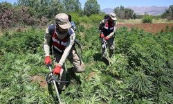 Jandarma, Diyarbakır’da 532 kilogram uyuşturucu ele geçirdi