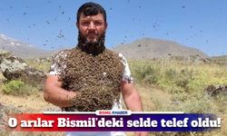 O arıcının arıları Bismil’deki selde telef oldu