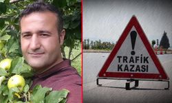 Şanlıurfa-Mardin kara yolunda otomobil devrildi: Sürücüsü hayatını kaybetti