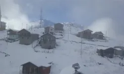 Bitlis ve Hakkari'de kar yağışı etkili oluyor